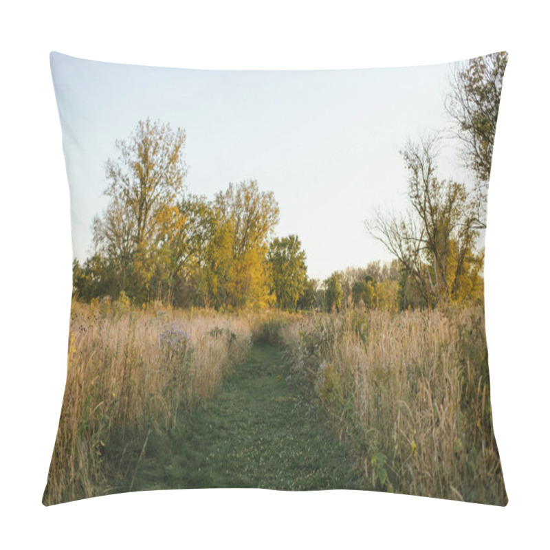 Personality  Grassy Path Through Golden Meadow Surrounded By Trees In Illinois Pillow Covers