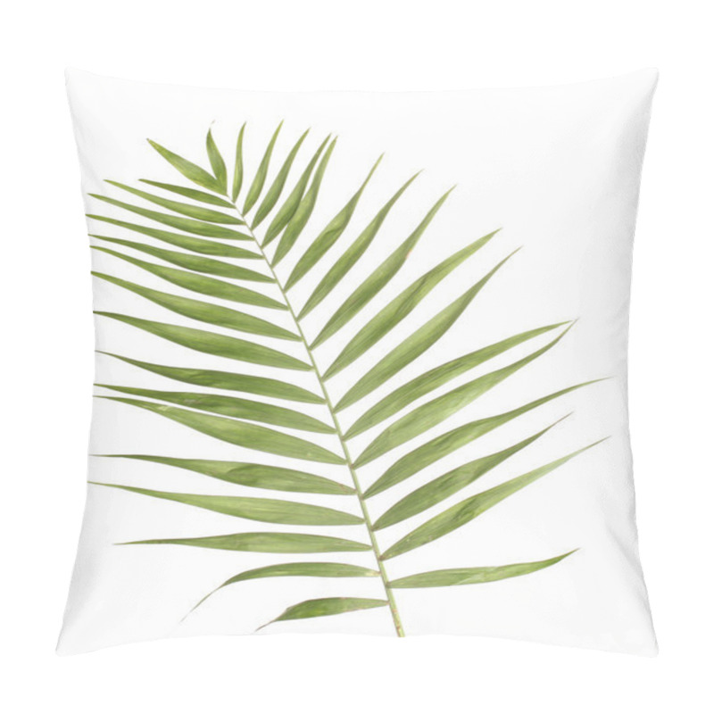 Personality  Beautiful Palm Leaf Isolated On White Pillow Covers