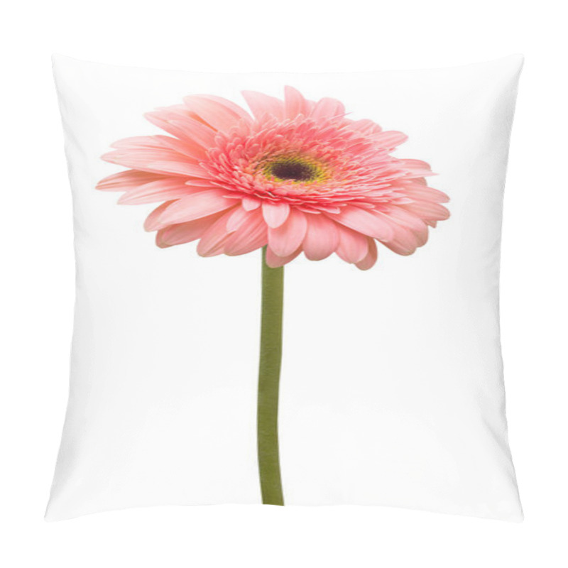 Personality  Pink Gerbera Flower Pillow Covers