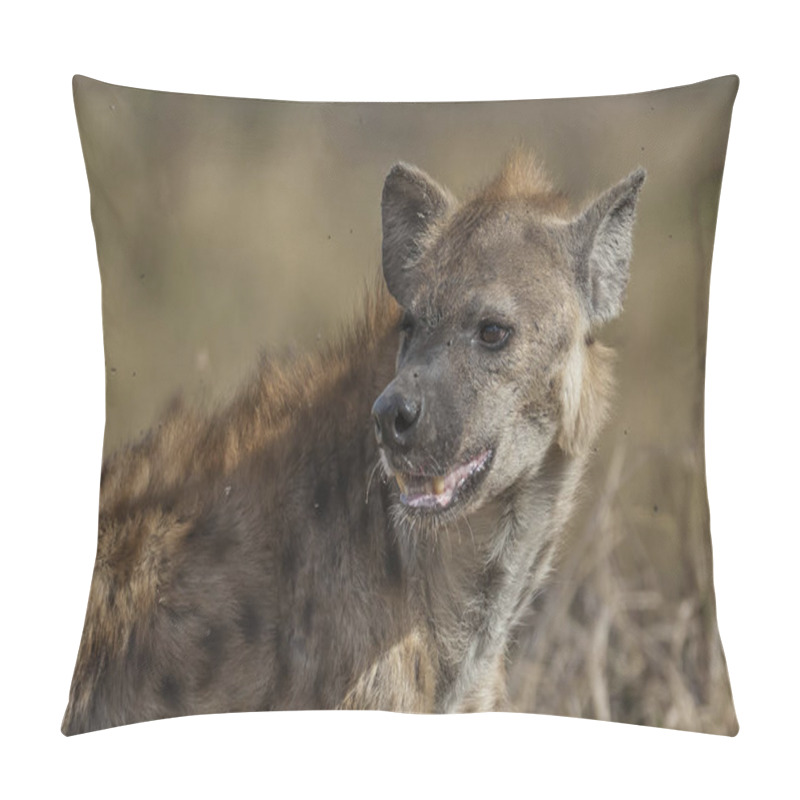 Personality  Hyena In Wild Nature Of South Africa Pillow Covers