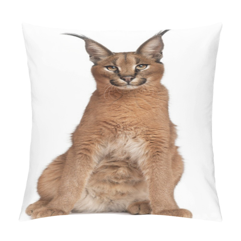 Personality  Close-up Of Caracal, Caracal Caracal, 6 Months Old, In Front Of White Background Pillow Covers