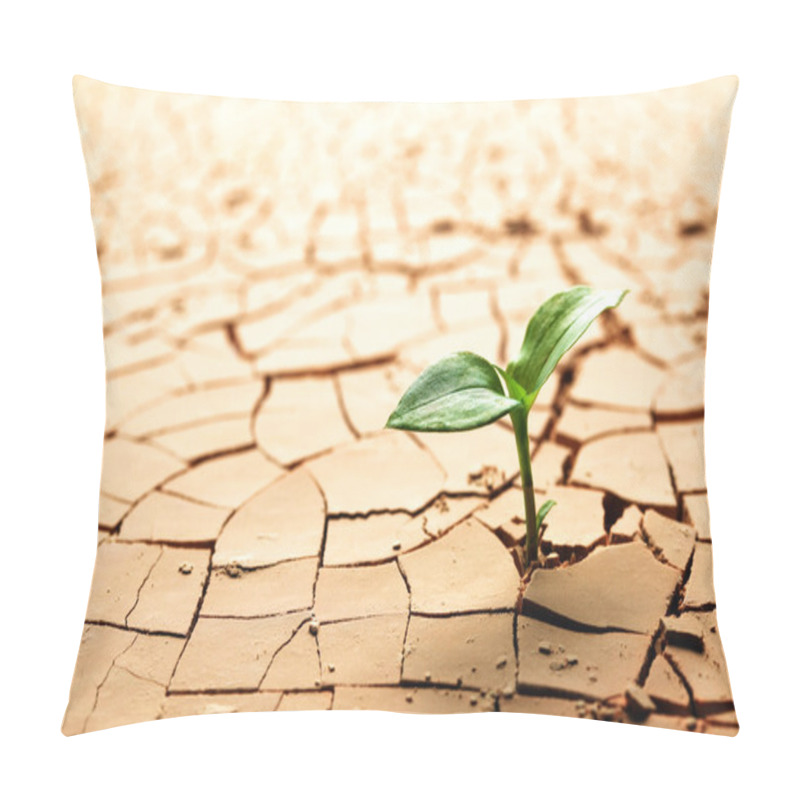 Personality  Plant In Dried Cracked Mud Pillow Covers