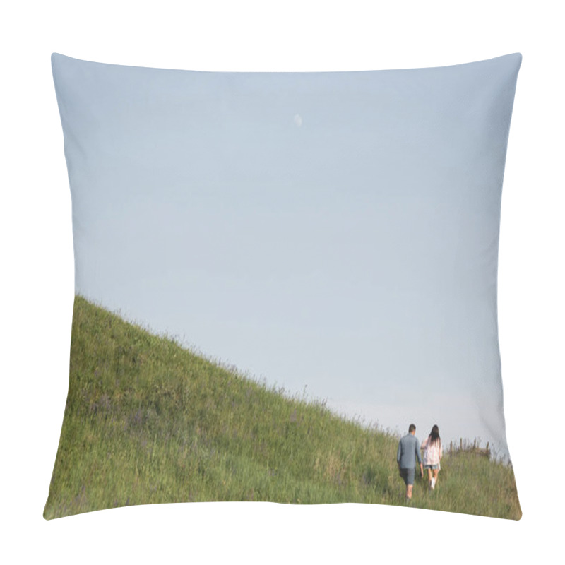 Personality  Back View Of Couple Walking In Green Hilly Field In Summer Pillow Covers