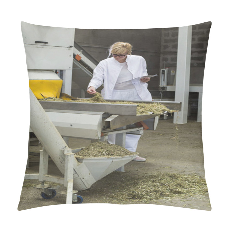 Personality  Scientist Observing Dry CBD Hemp Plants By The Sorting Machine In Factory And Taking Notes Pillow Covers