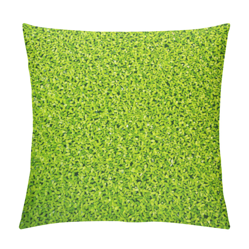 Personality  Duckweed Texture Pillow Covers