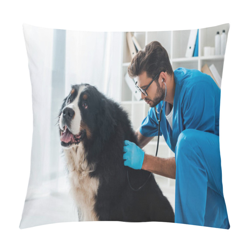 Personality  Attentive Veterinarian Examining Berner Sennenhund Dog With Stethoscope Pillow Covers