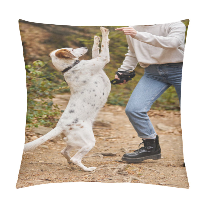 Personality  Photo Of Cute Dog Asking For Treat While Training In Forest With Cropped Young Girl At Hiking Trip Pillow Covers