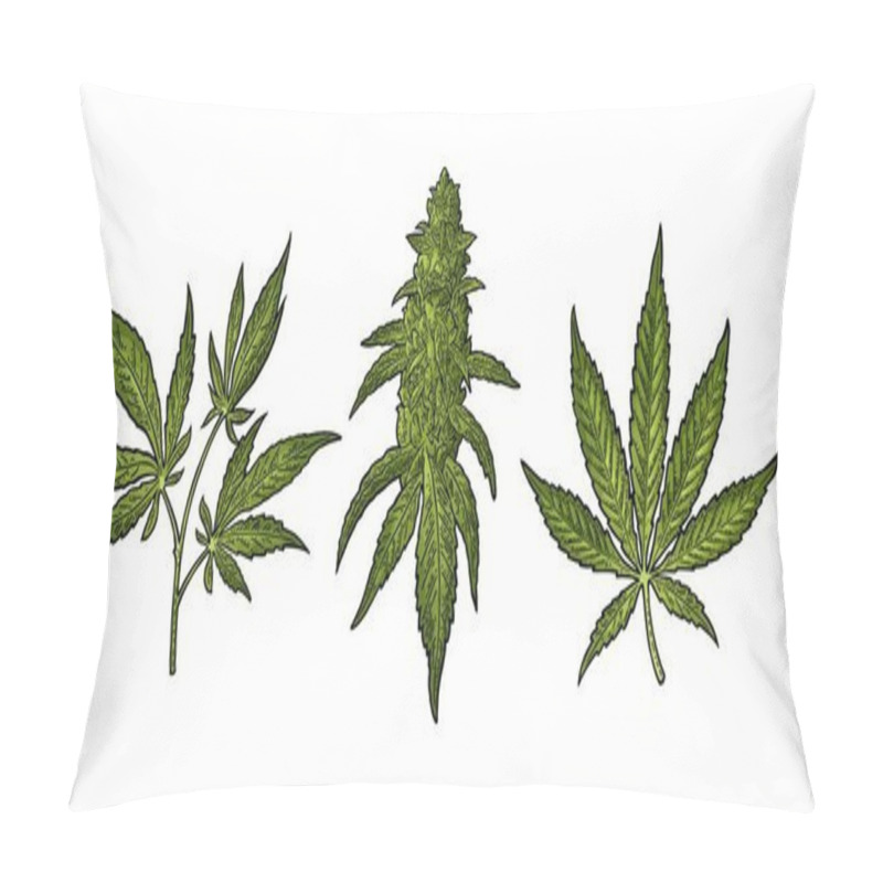 Personality  Marijuana Mature Plant With Leaves And Buds. Vector Engraving Illustration Pillow Covers