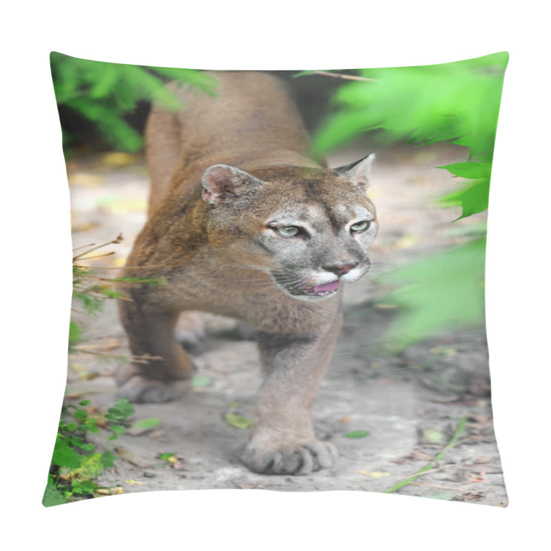 Personality  Cougar Pillow Covers