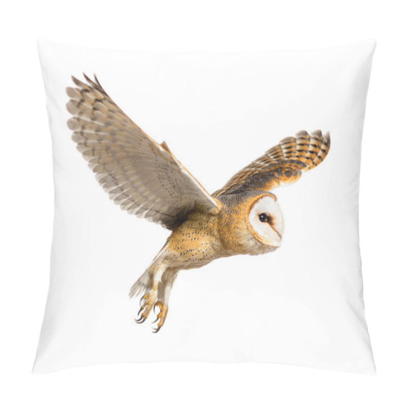 Personality  Side View Of A Barn Owl, Nocturnal Bird Of Prey, Flying Wings Spread, Tyto Alba, Isolated On Withe Pillow Covers