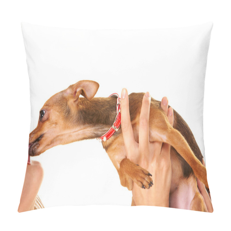 Personality  Loveable Dog Pillow Covers