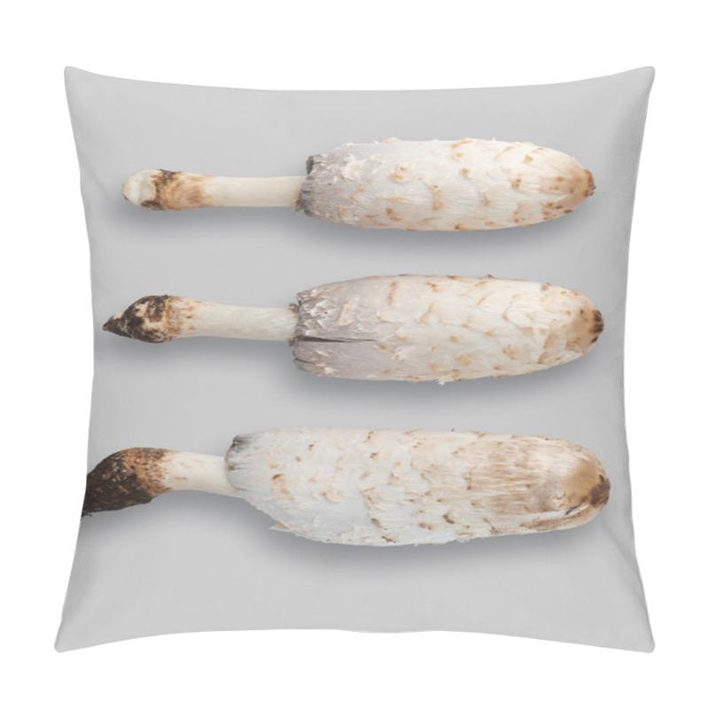 Personality  Shaggymane Mushrooms Pillow Covers