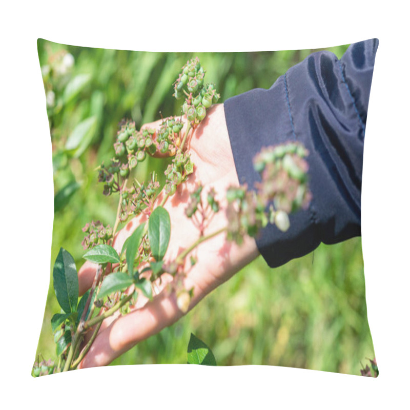 Personality  Flowering Pink Blueberry Bush. Reproduction Of Fruitful Bushes Of Black Berries On The Farm 2021. Pillow Covers