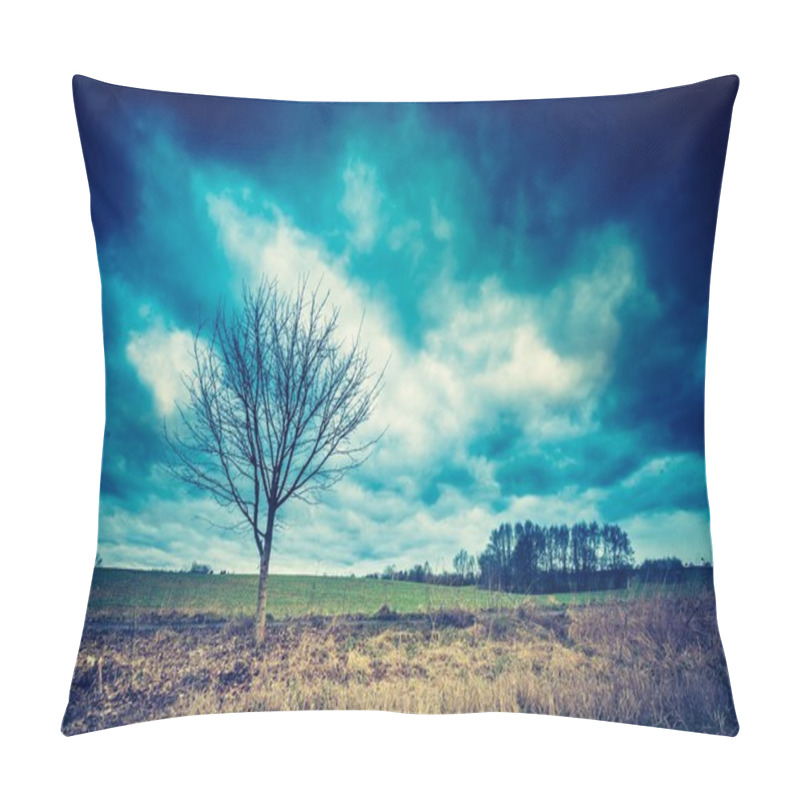 Personality  Dramatic Cloudscape Over Land Pillow Covers