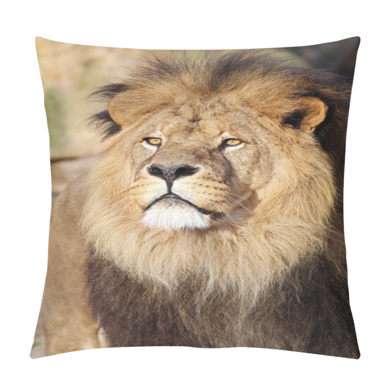 Personality  Big Lion's Head  Pillow Covers