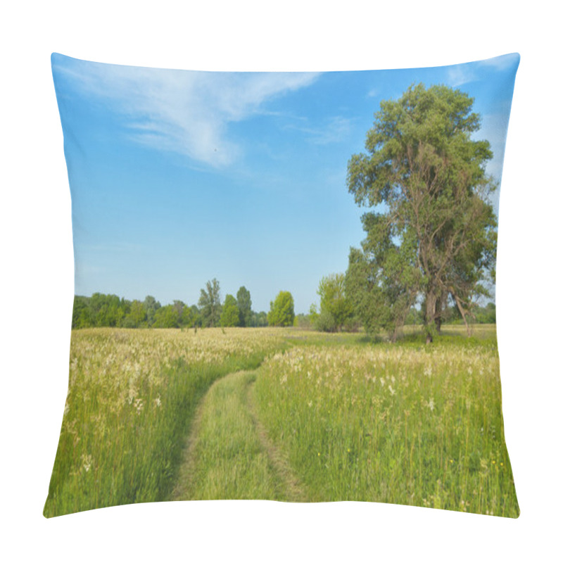 Personality  Beautiful Country Road, Green Meadow Pillow Covers