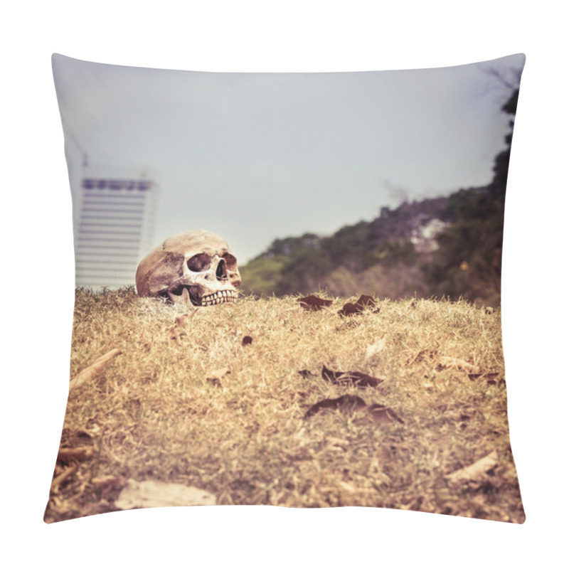 Personality  Still Life Skull Pillow Covers