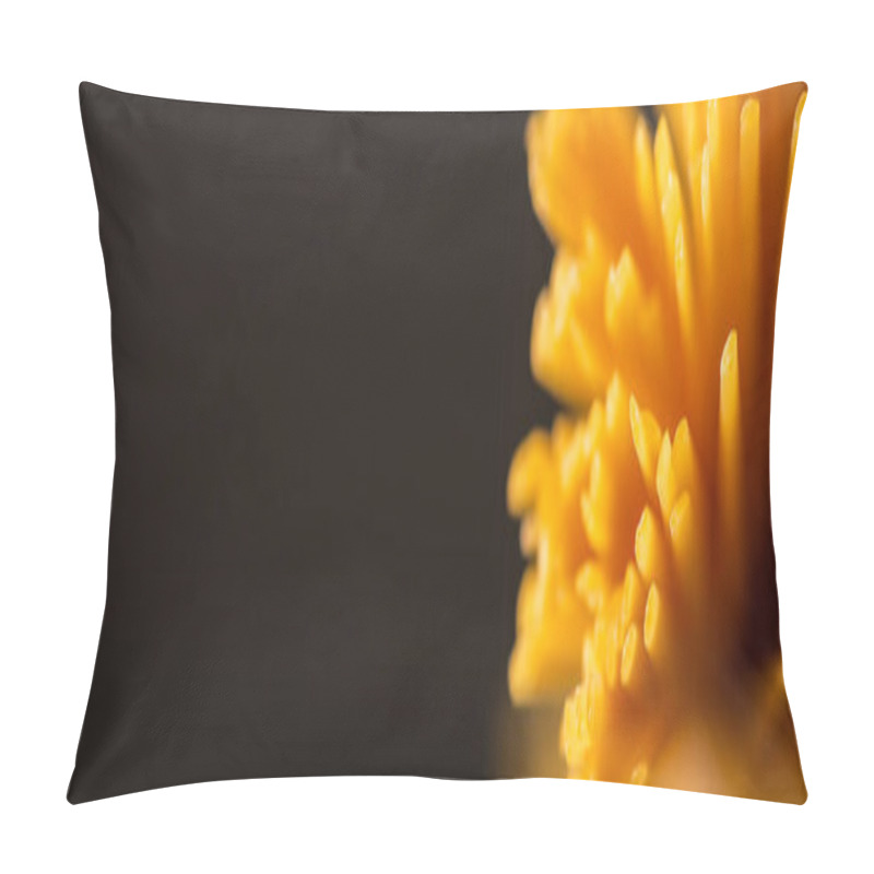 Personality  Close Up View Of Uncooked Italian Spaghetti Isolated On Black, Panoramic Shot Pillow Covers