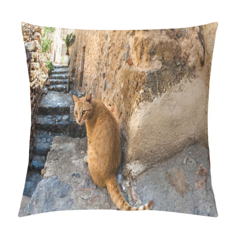 Personality  Red Cat In Monemvasia Pillow Covers