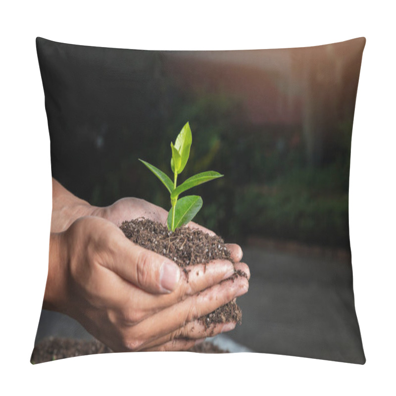 Personality  Closeup Hand Of Person Holding Abundance Soil With Young Plant. Concept Green World Earth Day Pillow Covers