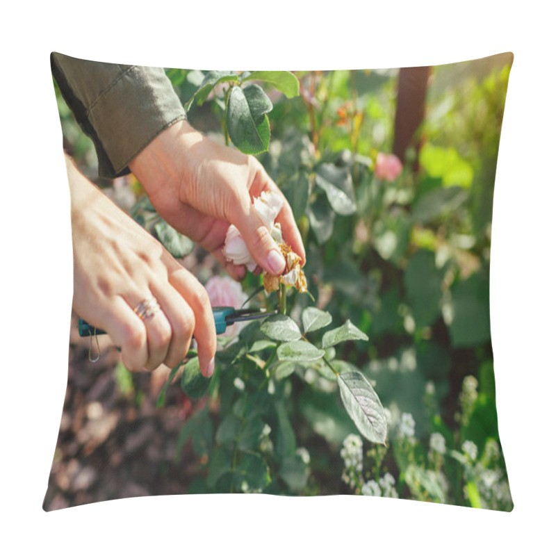 Personality  Woman Deadheading Spent Rose Hips In Summer Garden. Gardener Cutting Wilted Flowers Off With Pruner. Outdoor Hobby Activities Pillow Covers