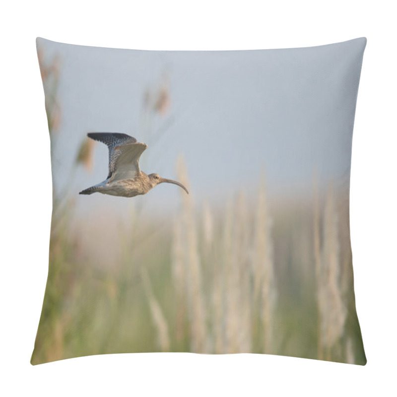 Personality  The Eurasian Curlew Flying  Pillow Covers