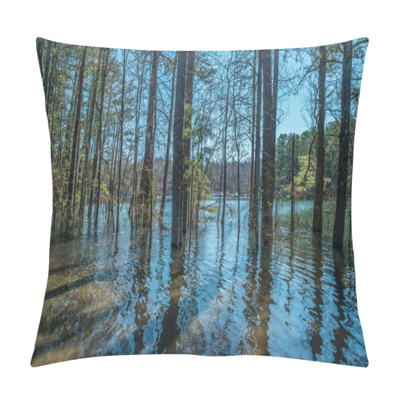 Personality  Submerged Parking Lot And Trees At Little Ridge Park Lake Lanier From Record Rainfall With Boats Docked In The Background On A Sunny Day In Winter Pillow Covers