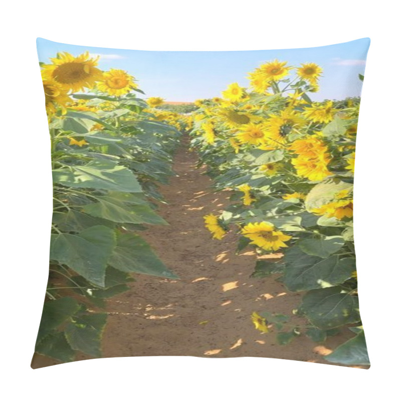 Personality  Vertical Screen :Sunflower Blooms Dance Across Biofarm Fields, Nurturing Thriving Ecosystem. Each Sunflower Embodies Biofarm Sustainability, Contributing To Balanced Ecosystem Harmony. Pillow Covers