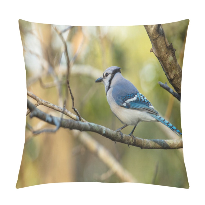 Personality  Vibrant Blue Jay Perched On A Tree Branch Is Watching The Forest On A Sunny Day Pillow Covers