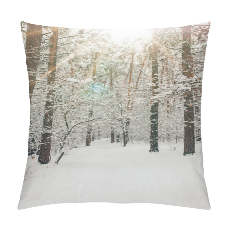 Personality  Scenic View Of Beautiful Snowy Winter Forest And Sunlight Pillow Covers