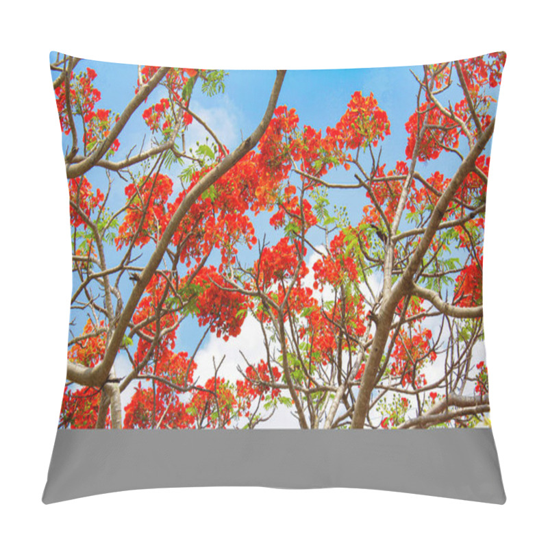 Personality  Red Flower And Blue Sky Bacground Beauty Full Flower Background Image Pillow Covers