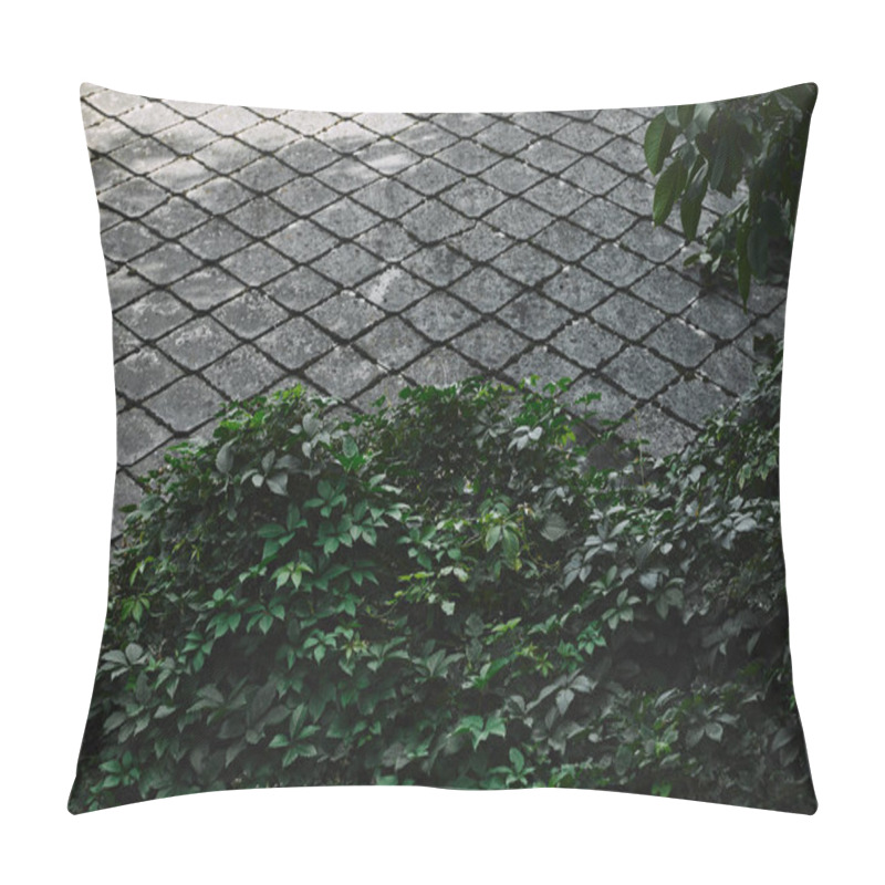 Personality  Green Bushes And Concrete Tiles In Garden Pillow Covers