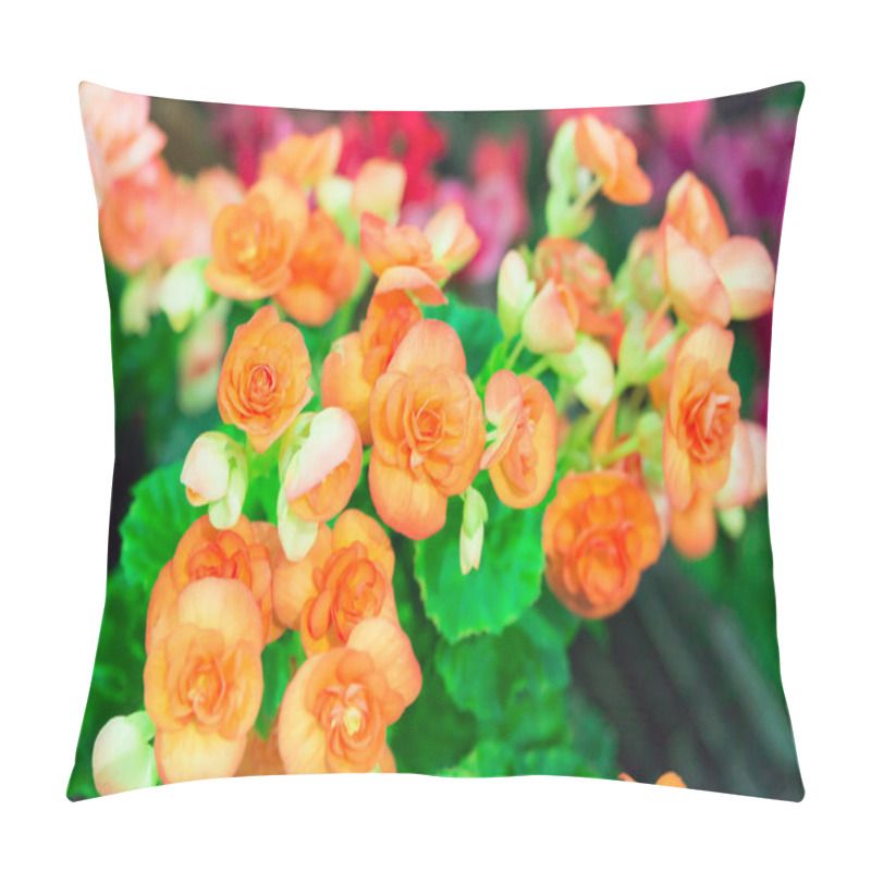 Personality  ORANGE RIEGER BEGONIAS In Garden. Pillow Covers