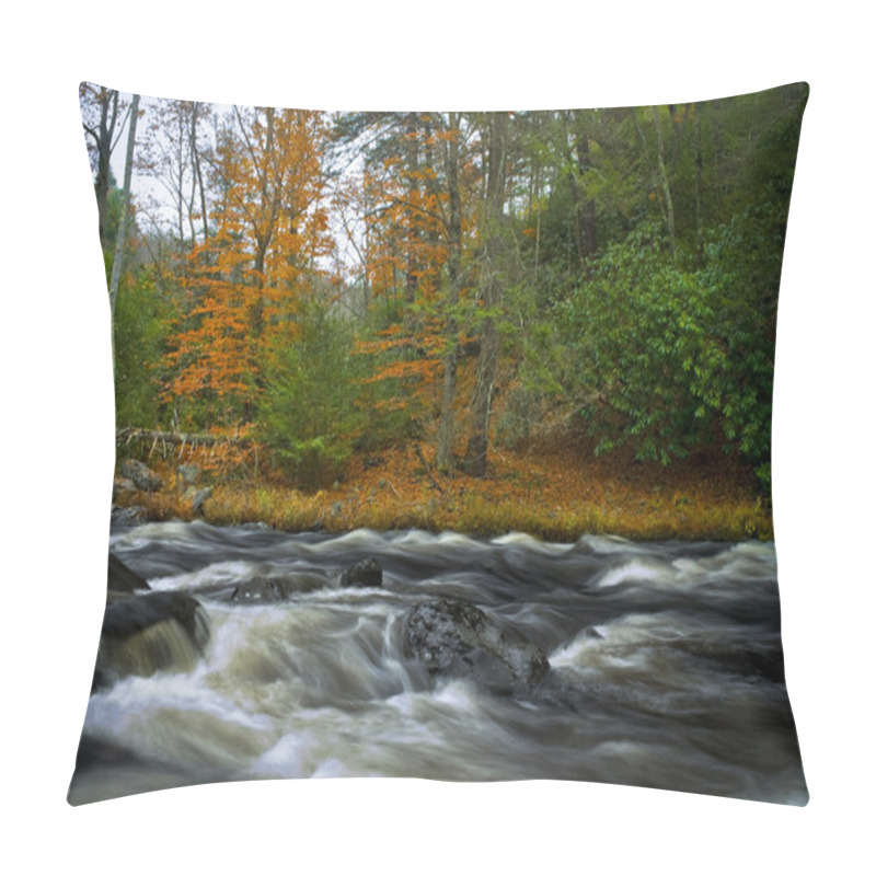 Personality  Flowing Bushkill Creek Pillow Covers