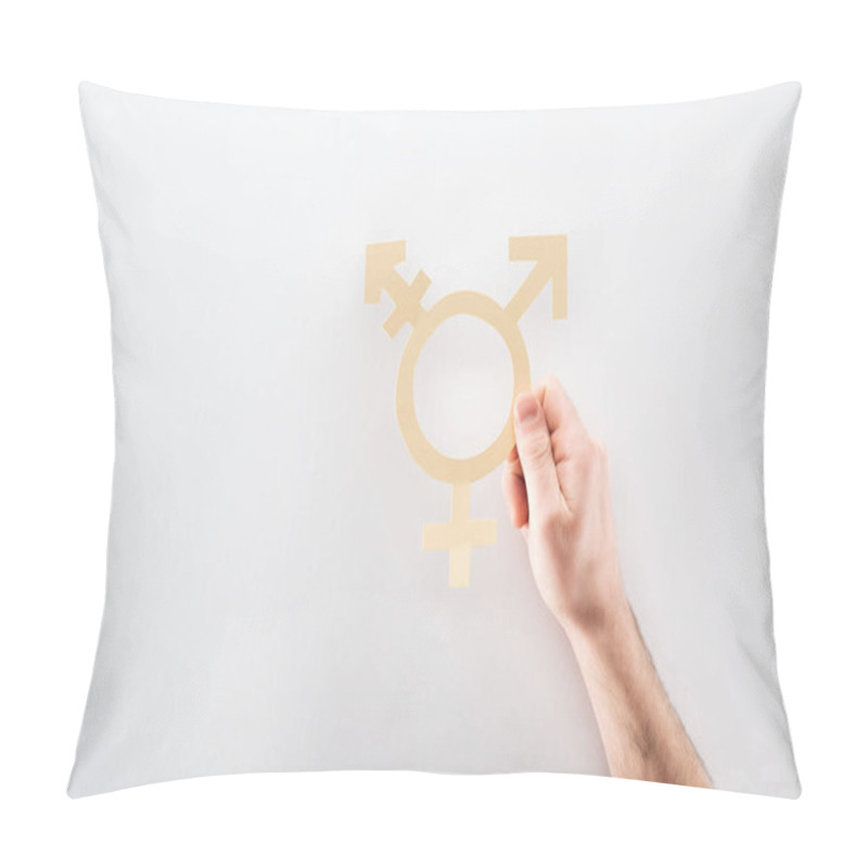 Personality  Cropped View Of Male Hand With Paper Cut Gender Sign On Grey Background, Lgbt Concept Pillow Covers