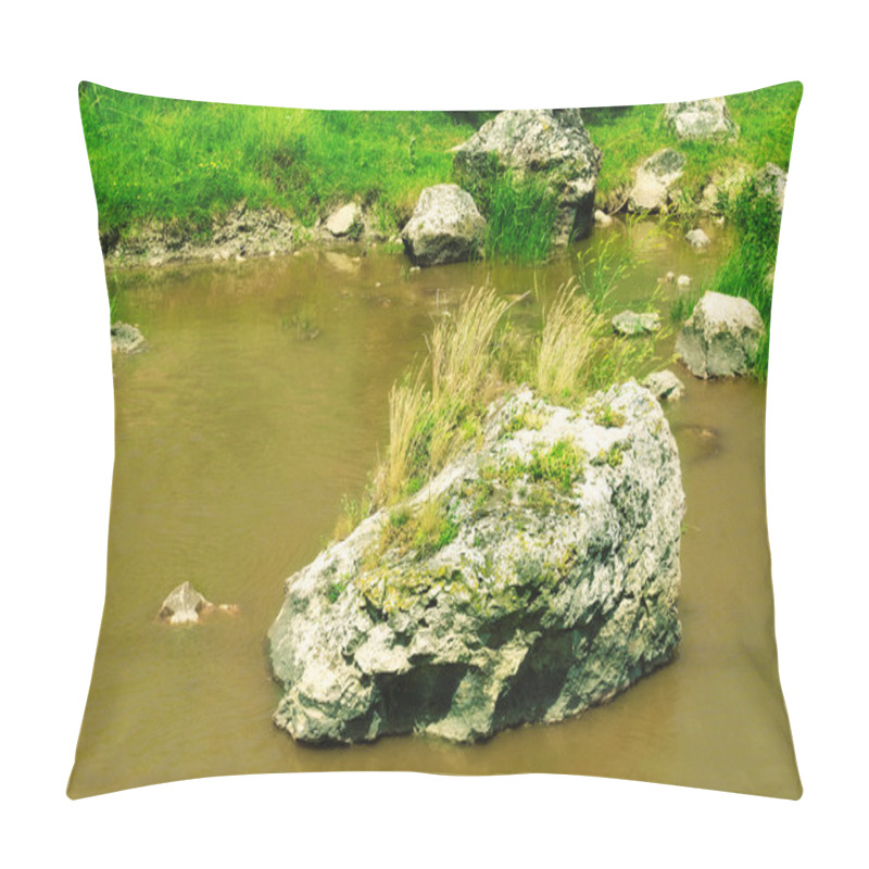 Personality  A Stream Polluted By Sewage. Pillow Covers