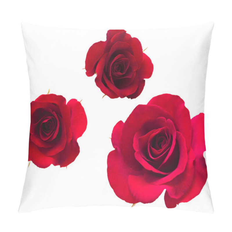 Personality  A Flower Of Roses. Pillow Covers