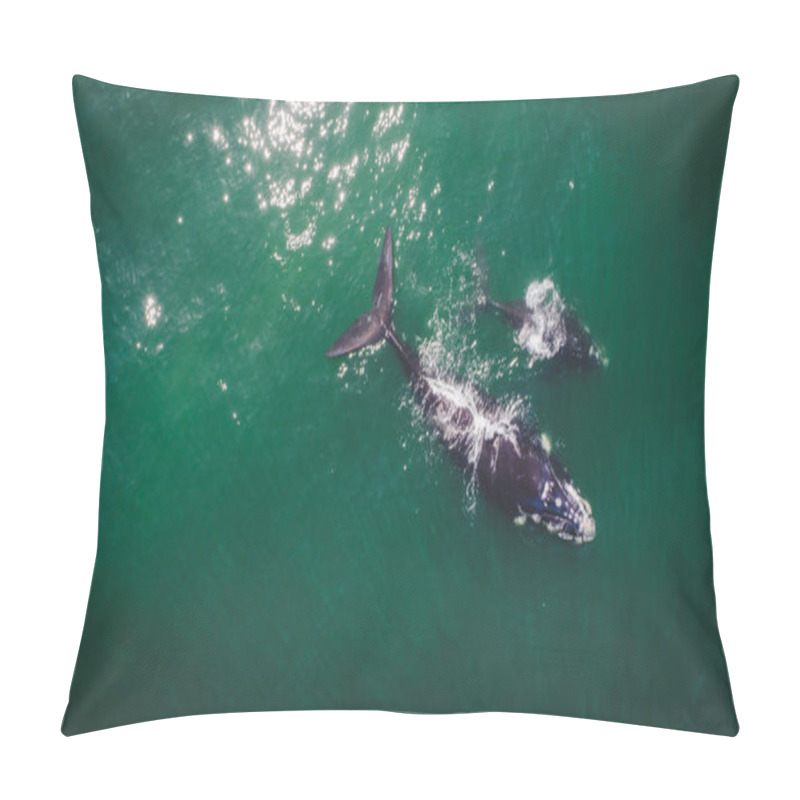 Personality  Aerial View Over A Southern Right Whale And Her Calf Along The Overberg Coast Close To Hermanus In South Africa Pillow Covers