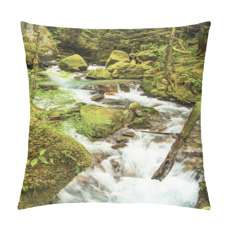 Personality  Ladder Creek Pillow Covers