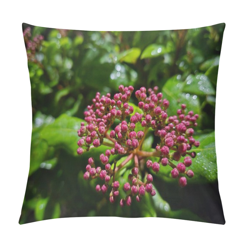 Personality  Red Flower Plant Close View Background Pillow Covers