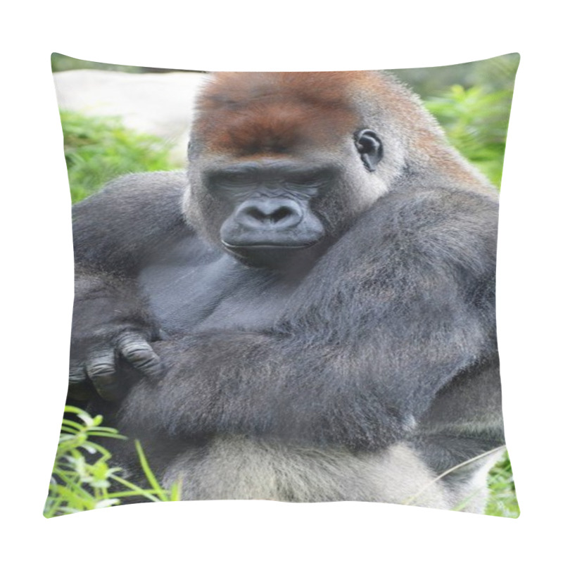 Personality  Western Lowland Gorilla Pillow Covers