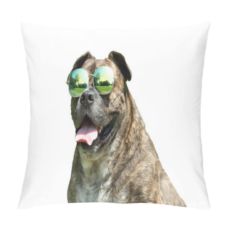 Personality  Happy Dog With Sunglasses, Pit Bull, Amstaff, Stafford In The Park. Pillow Covers