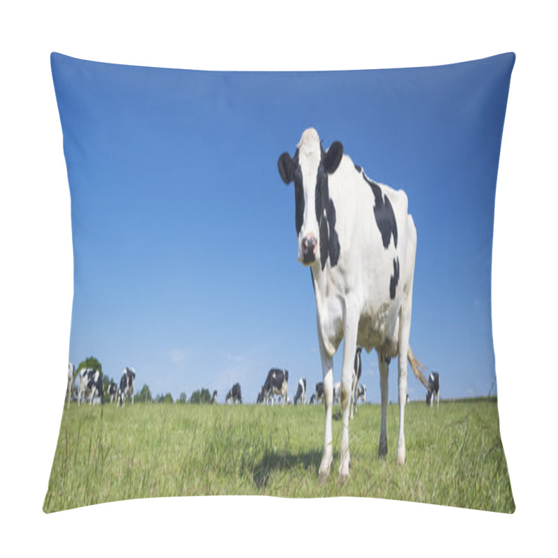 Personality  Panoramic View Of Black And White Cow Pillow Covers