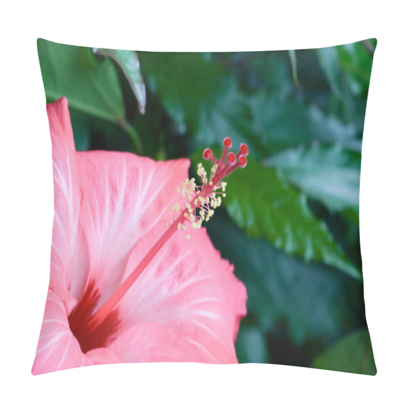 Personality  Hibiscus Pillow Covers