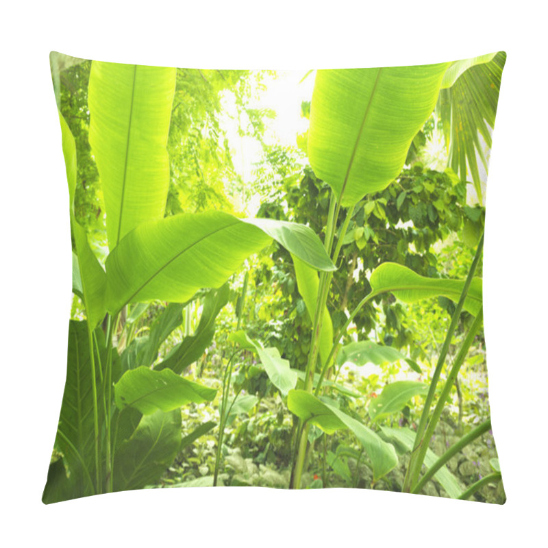 Personality  Tropical Forest, Trees And Leafs In Sunlight Pillow Covers