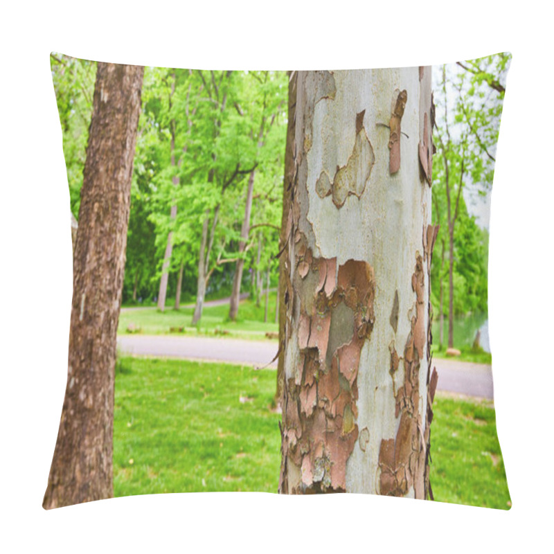 Personality  Image Of Close Up Of River Birch Tree With Flaking Bark And Blurred Background Of Open Forest Trail Pillow Covers