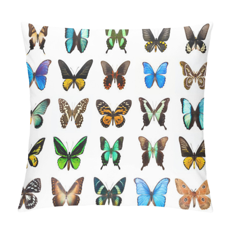 Personality  Tropical Butterflies Pillow Covers