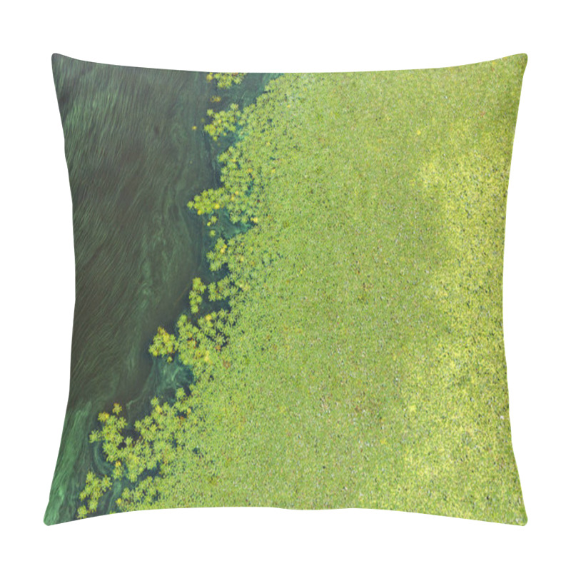 Personality  Green Algae Gradually Cover The Surface Of The Blooming Water, The Concept Of Pollution Of The Water Surface Of The Earth, Copy Space. Pillow Covers