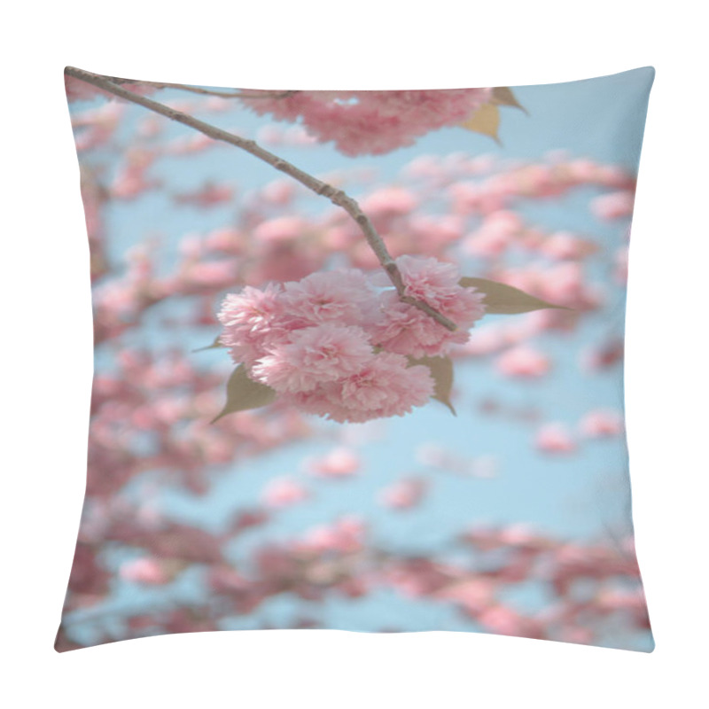 Personality  Blooming Pink Cherry Blossoms Against A Soft Blue Sky. Pillow Covers