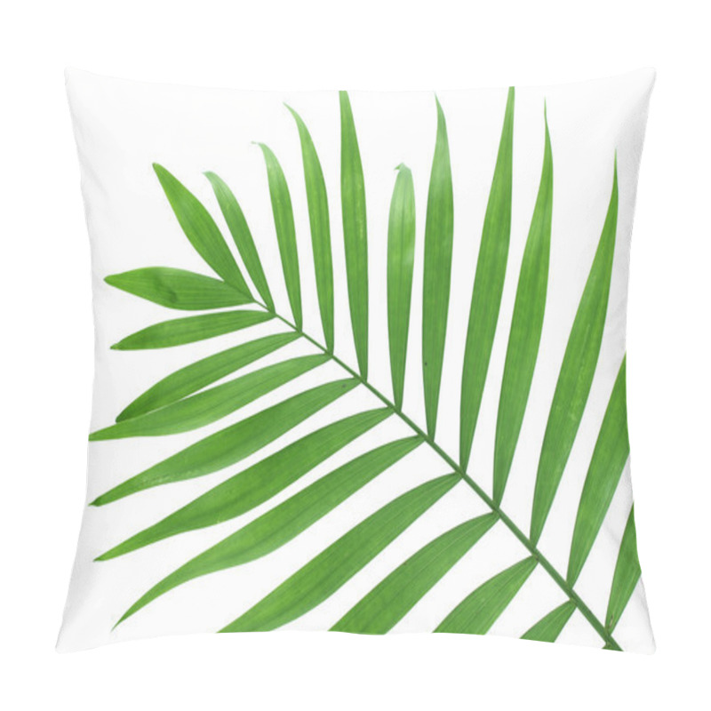 Personality  Beautiful Green Palm Leaf Isolated On White Pillow Covers